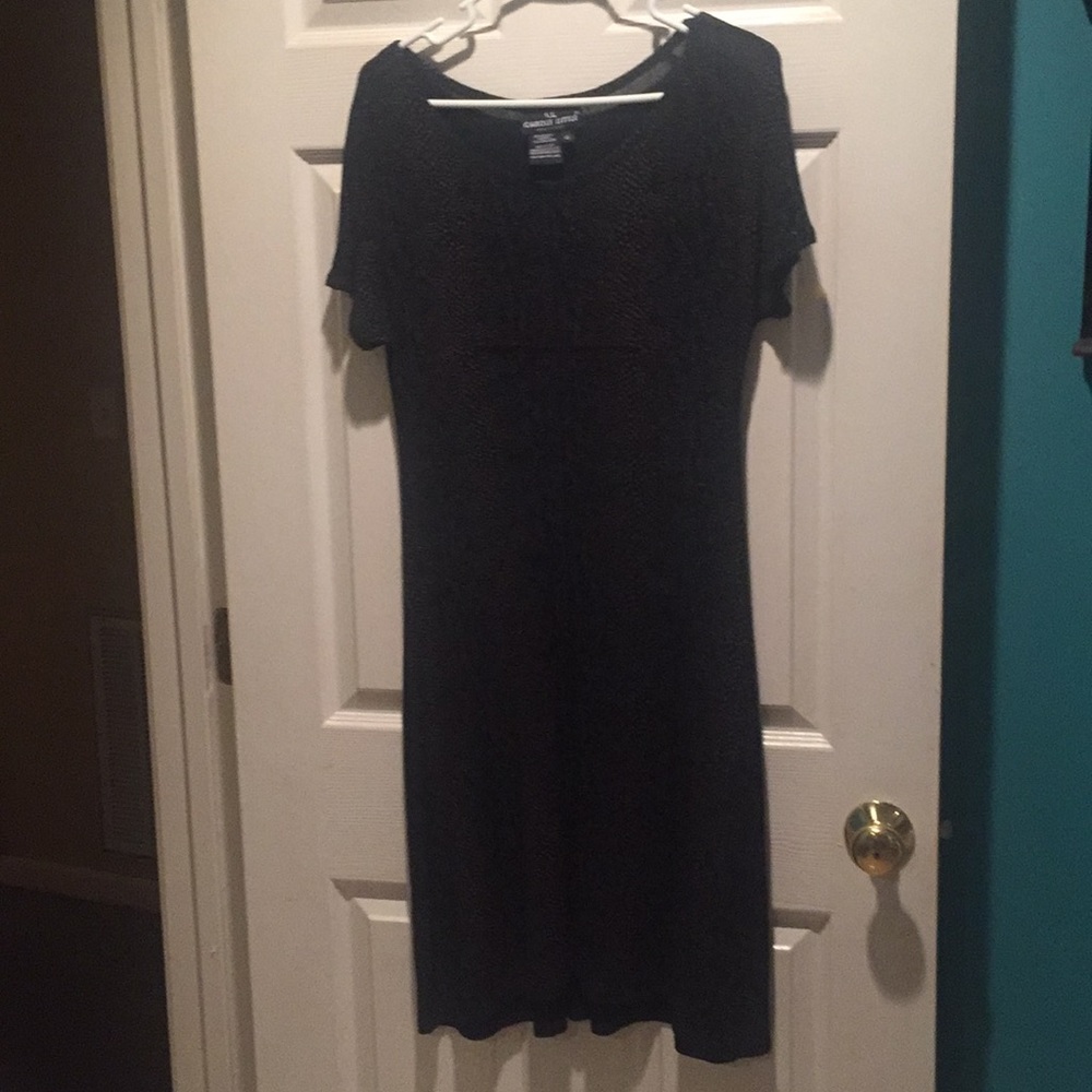 Size 6 Carole Little Dresses in black and brown.